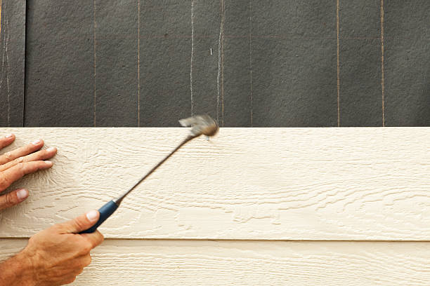 Best Wood Siding Installation  in Tucson Mountains, AZ